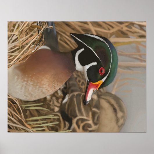 Wood Duck Poster (Voorkant)