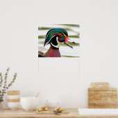 Wood Duck Poster (Keuken)