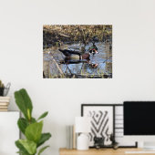 Wood Duck Poster (Thuiskantoor)