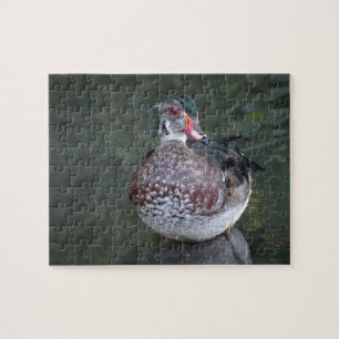 Wood Duck Puzzle Legpuzzel
