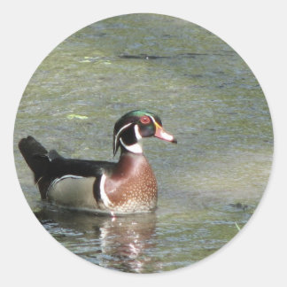 Wood Duck Ronde Sticker