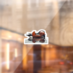 Wood Duck Thunder_Cove Raamsticker