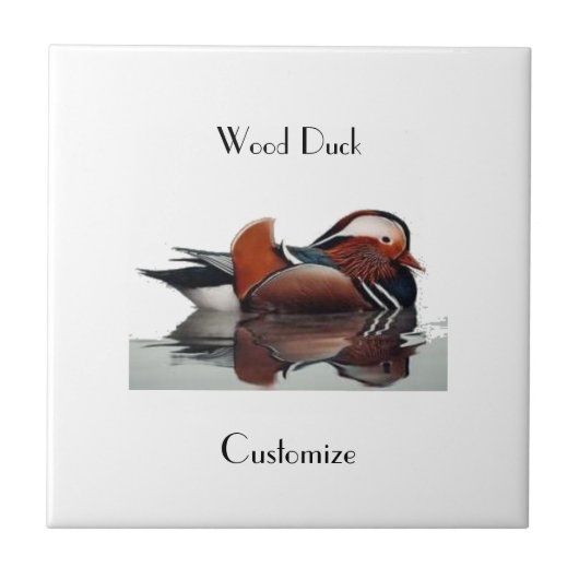 Wood Duck Thunder_Cove Tegeltje (Voorkant)