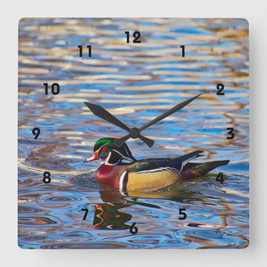 Wood Duck Wall Clock Vierkante Klok (Voorkant)
