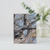 Wood Ducks in a Tree Briefkaart (Staand voorkant)