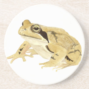 Wood Frog Zandsteen Onderzetter
