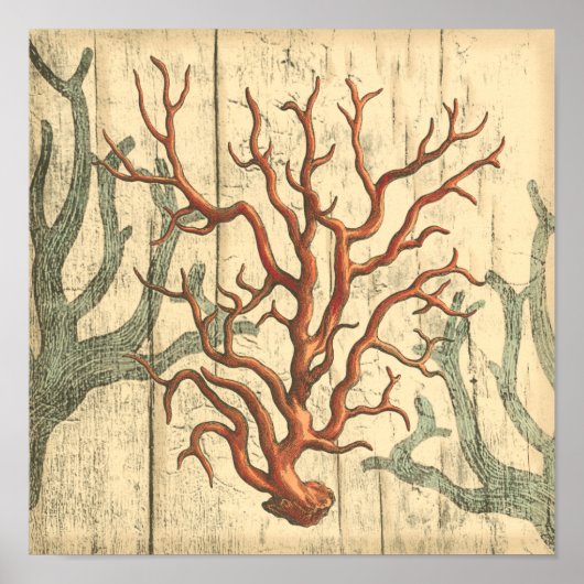 Wood & Small Coral Poster (Voorkant)