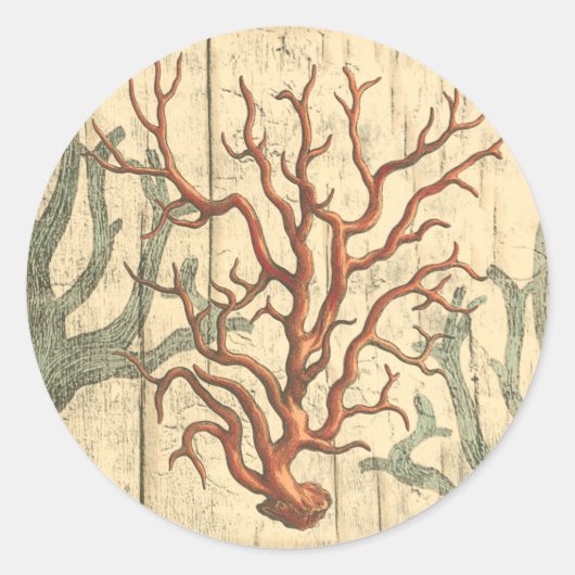 Wood & Small Coral Ronde Sticker (Voorkant)