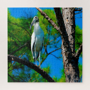 Wood Stork Florida Legpuzzel