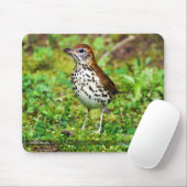 Wood Thrush Mousepad Muismat (Met muis)