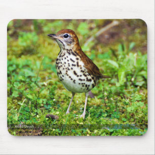 Wood Thrush Mousepad Muismat