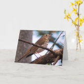 Wood Thrush Wenskaart Kaart (Gele Bloem)