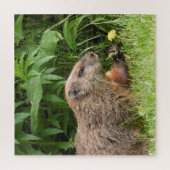 Woodchuck AKA Groundhoug met ventilator Legpuzzel (Verticaal)