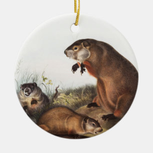 Woodchuck (Arctomys monax) Illustratie Keramisch Ornament