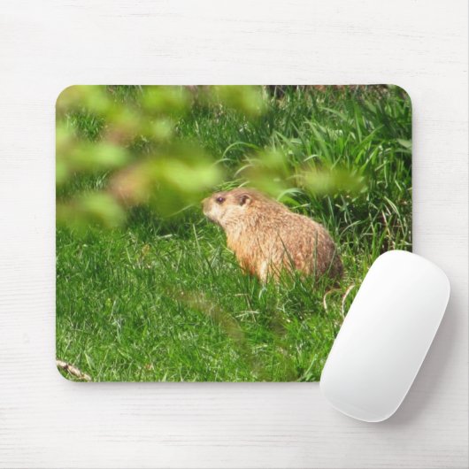 Woodchuck ~ mousepad muismat (Met muis)
