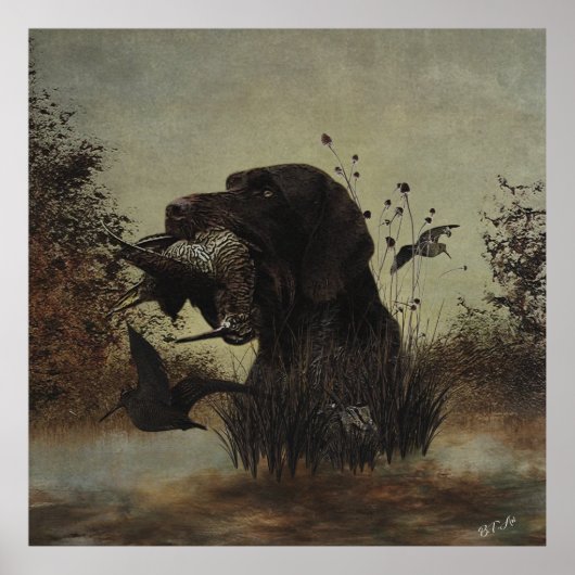 Woodcock Hunting met German Wirehaered Pointer Poster (Voorkant)