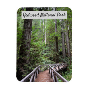 Wooden Bridge en Sequoias   Nationaal park Redwood Magneet