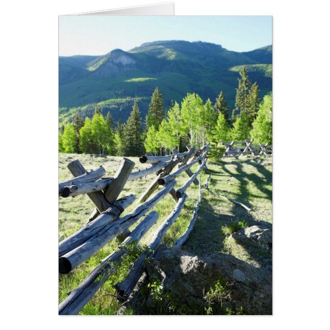 Wooden Fenceline (Voorkant)