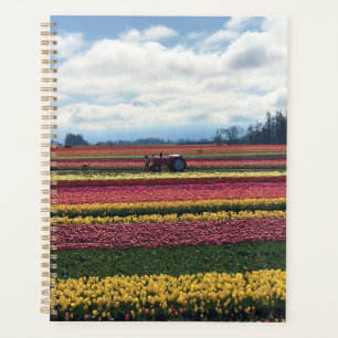 Wooden Shoe Tulip Farm, Woodburn, Oregon
