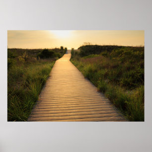 Wooden Walkway to Beach Poster