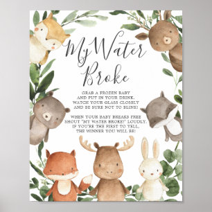 Woodland Animals Baby shower Mijn water brak teken Poster