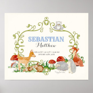 Woodland Animals Deer Fox Boy Newborn Stats Poster