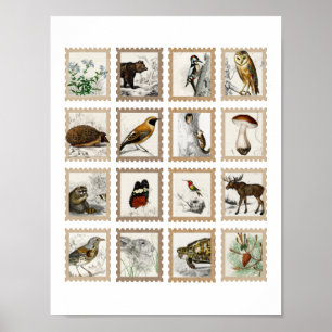 Woodland Animals Moose Birds Junk Journal-accenten Poster