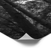 Woodland Canopy 02 BW Poster (Hoek)