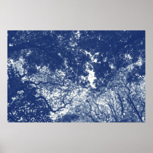 Woodland Canopy 02 - Cyanotype Effect Poster
