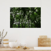 Woodland Canopy 02 Poster (Keuken)