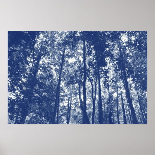 Woodland Canopy - Cyanotype Effect Poster (Voorkant)