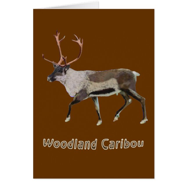 Woodland Cariou (Voorkant)