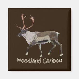 Woodland Cariou Magneet