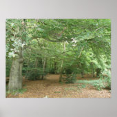 Woodland Clearing Print (Voorkant)