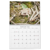Woodland Creatures Nature  Kalender (Feb 2026)