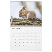 Woodland Creatures Natuur Kalender (Mar 2026)
