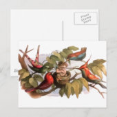Woodland Elf in Nest: Antiek Bird Sprite Fairy Briefkaart (Voorkant / Achterkant)