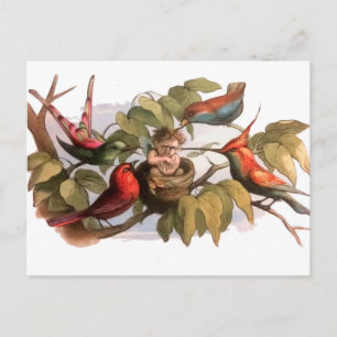 Woodland Elf in Nest: Antiek Bird Sprite Fairy Briefkaart
