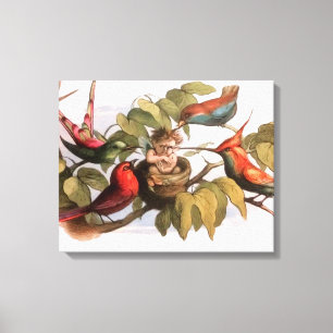 Woodland Elf in Nest: Antiek Bird Sprite Fairy Canvas Afdruk