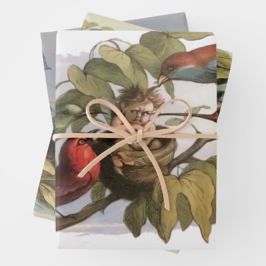 Woodland Elf in Nest: Antiek Bird Sprite Fairy Inpakpapier Vel (In situ)
