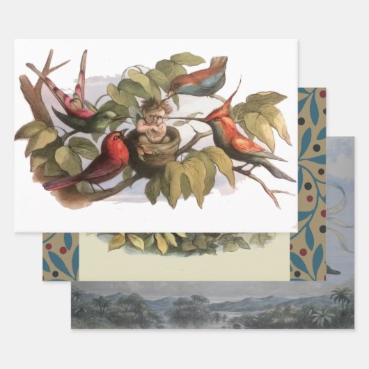 Woodland Elf in Nest: Antiek Bird Sprite Fairy Inpakpapier Vel (Set)