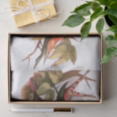 Woodland Elf in Nest: Antiek Bird Sprite Fairy Tissuepapier (Geschenk)