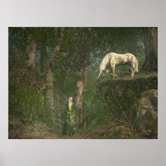 Woodland Encounter Poster (Voorkant)