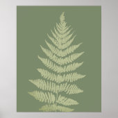 Woodland Fern Leves Aangepaste Achtergrond Kleuren Poster (Voorkant)