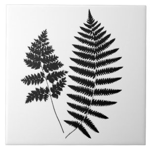Woodland Fern, zwart en wit Tegeltje