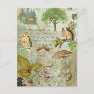 Woodland Forest Wildlife Squirrel, Owl, Autumnal J Briefkaart