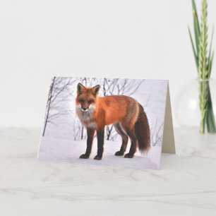 Woodland Fox-wenskaart Kaart