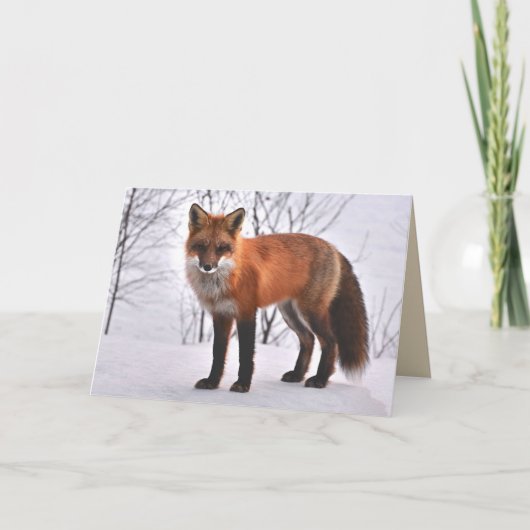 Woodland Fox-wenskaart Kaart (Voorkant)