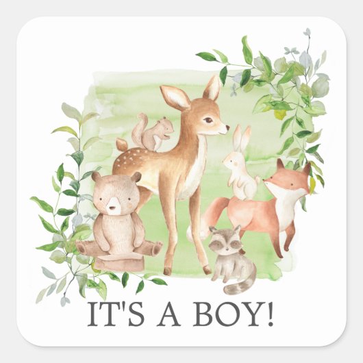 Woodland Friends It's a Boy Favoriser Sticker (Devant)