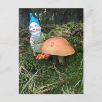 Woodland Gnome Briefkaart